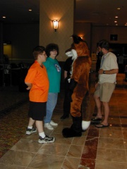 Furvan-20 Aerofox12