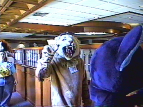 mousepaws unknownlion