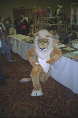 Chakat Cf8-020