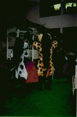 HYENA2