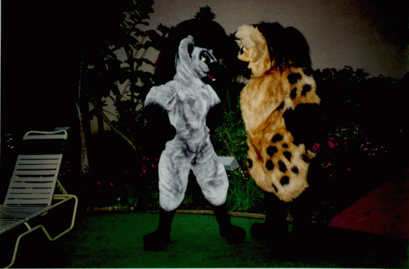 HYENA3