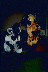 HYENA4