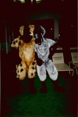 HYENA7