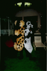 HYENA8
