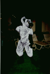 HYENA9