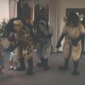 Hyenas1