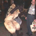 Hyenas2c