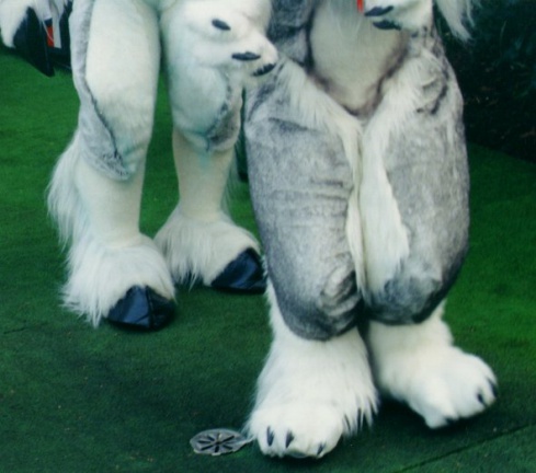IceFeet