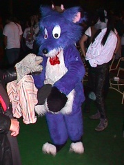 ToyFox01
