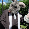 Devilwuff CF2011 213