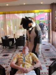 Devilwuff CF2012 017