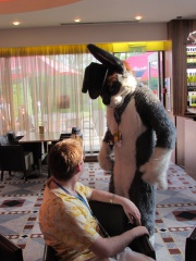 Devilwuff CF2012 019