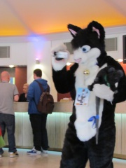 Devilwuff CF2012 042