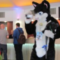Devilwuff CF2012 042