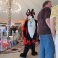 Devilwuff CF2012 045