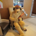 Devilwuff CF2012 059