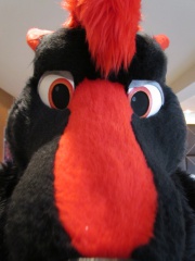 Devilwuff CF2012 070