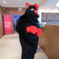 Devilwuff CF2012 071