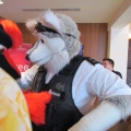 Devilwuff CF2012 075