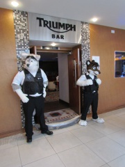 Devilwuff CF2012 092