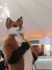 Devilwuff CF2012 103