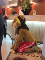 Devilwuff CF2012 110
