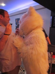 Devilwuff CF2012 117