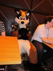 Devilwuff CF2012 122