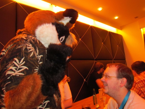 Devilwuff CF2012 125