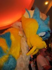 Devilwuff CF2012 134