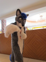 Devilwuff CF2012 135
