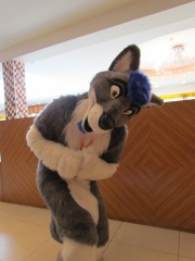 Devilwuff CF2012 136