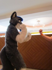 Devilwuff CF2012 140
