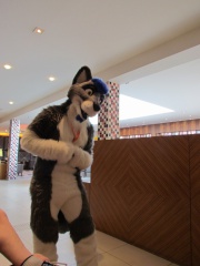Devilwuff CF2012 142