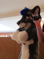 Devilwuff CF2012 145