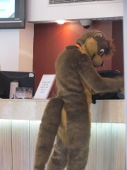 Devilwuff CF2012 147