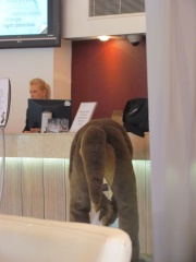 Devilwuff CF2012 148