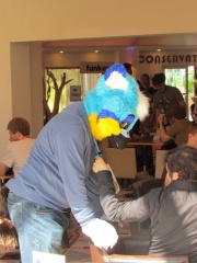 Devilwuff CF2012 154