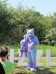 Devilwuff CF2012 155
