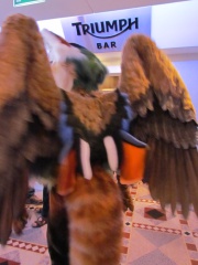 Devilwuff CF2012 173