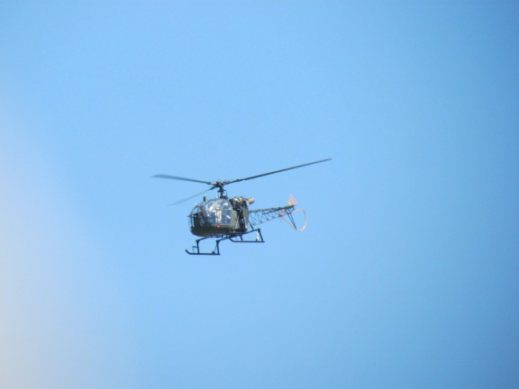 Devilwuff CF2012 176