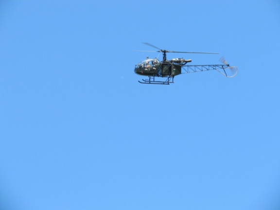 Devilwuff CF2012 177