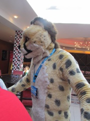 Devilwuff CF2012 180