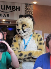 Devilwuff CF2012 181