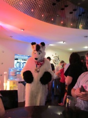 Devilwuff CF2012 182