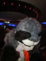 Devilwuff CF2012 216