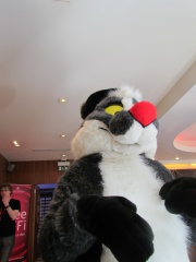 Devilwuff CF2012 257