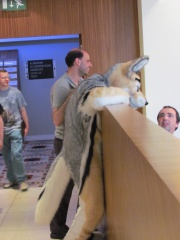 Devilwuff CF2012 276