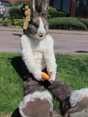 Devilwuff CF2012 287