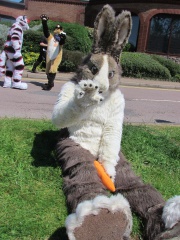 Devilwuff CF2012 288
